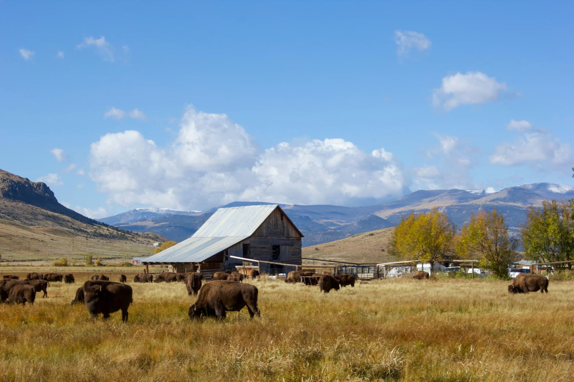 Cattle ranch with barn in Latin American valley landscape