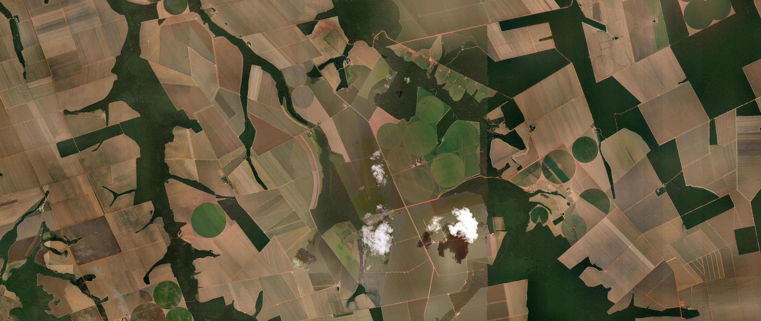 Satellite view of soybean fields in Sorriso, Mato Grosso (Brazil), showing the regular pattern of large-scale plots.